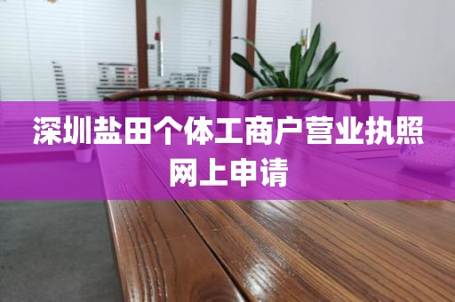 深圳盐田个体工商户营业执照网上申请