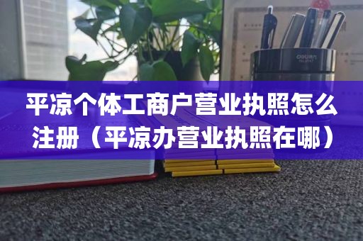 平凉个体工商户营业执照怎么注册（平凉办营业执照在哪）