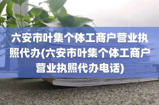 六安市叶集个体工商户营业执照代办(六安市叶集个体工商户营业执照代办电话)