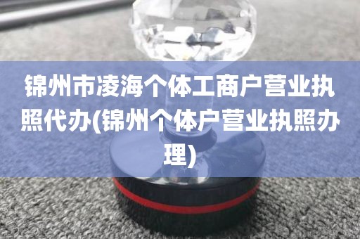 锦州市凌海个体工商户营业执照代办(锦州个体户营业执照办理)