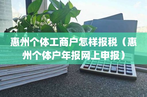 惠州个体工商户怎样报税（惠州个体户年报网上申报）