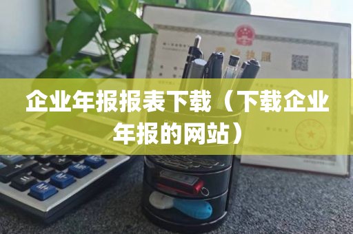 企业年报报表下载（下载企业年报的网站）