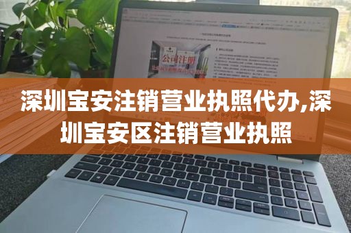 深圳宝安注销营业执照代办,深圳宝安区注销营业执照