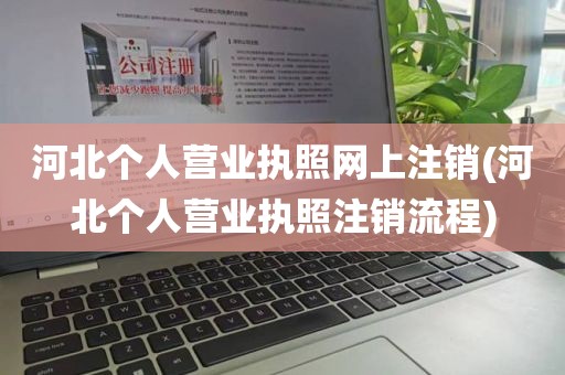 河北个人营业执照网上注销(河北个人营业执照注销流程)