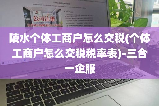 陵水个体工商户怎么交税(个体工商户怎么交税税率表)-三合一企服