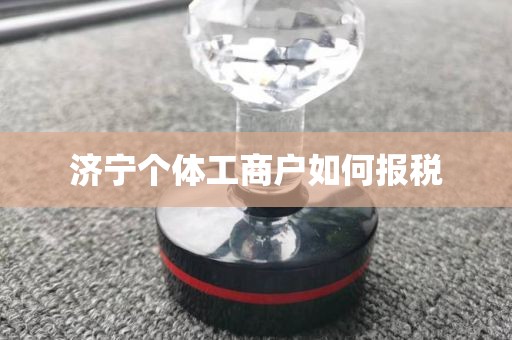 济宁个体工商户如何报税