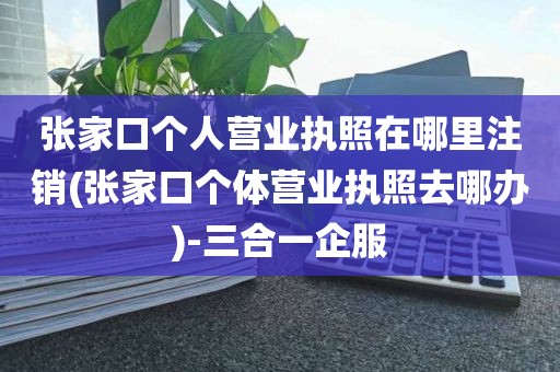 张家口个人营业执照在哪里注销(张家口个体营业执照去哪办)-三合一企服