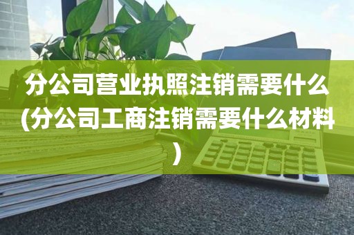 分公司营业执照注销需要什么(分公司工商注销需要什么材料)