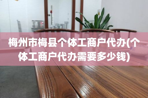 梅州市梅县个体工商户代办(个体工商户代办需要多少钱)