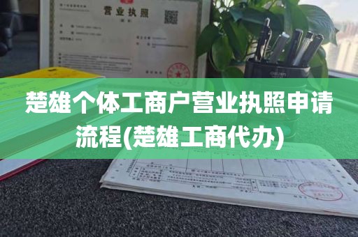 楚雄个体工商户营业执照申请流程(楚雄工商代办)
