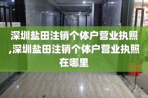 深圳盐田注销个体户营业执照,深圳盐田注销个体户营业执照在哪里