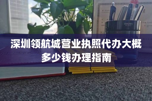深圳领航城营业执照代办大概多少钱办理指南