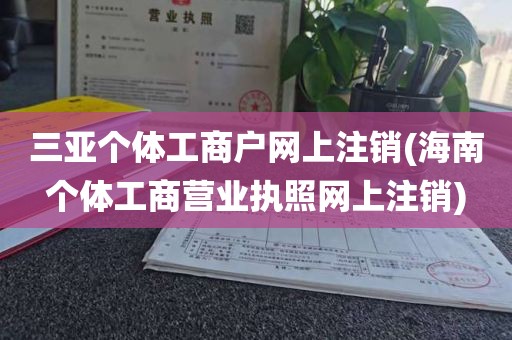 三亚个体工商户网上注销(海南个体工商营业执照网上注销)