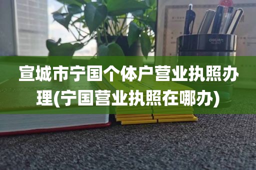 宣城市宁国个体户营业执照办理(宁国营业执照在哪办)