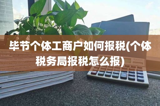 毕节个体工商户如何报税(个体税务局报税怎么报)