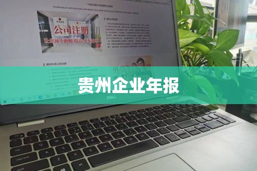 贵州企业年报