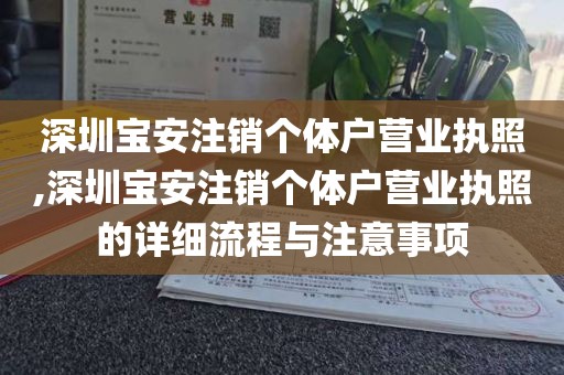 深圳宝安注销个体户营业执照,深圳宝安注销个体户营业执照的详细流程与注意事项