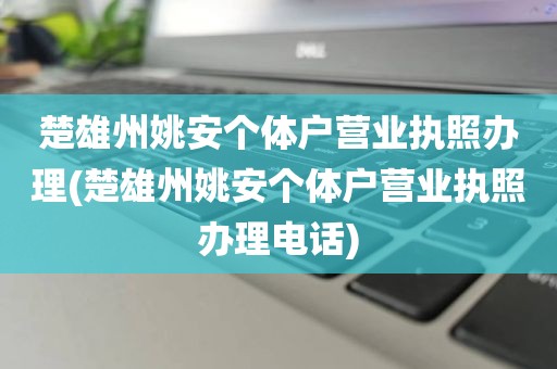 楚雄州姚安个体户营业执照办理(楚雄州姚安个体户营业执照办理电话)