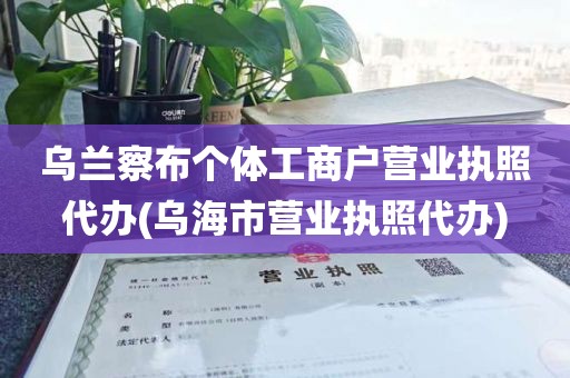 乌兰察布个体工商户营业执照代办(乌海市营业执照代办)
