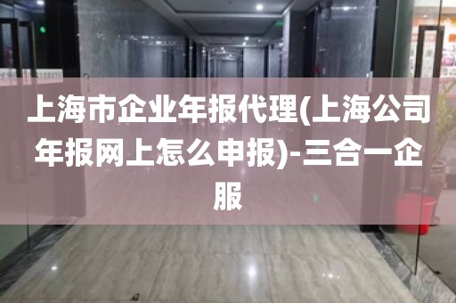 上海市企业年报代理(上海公司年报网上怎么申报)-三合一企服