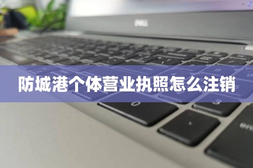防城港个体营业执照怎么注销