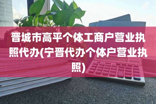 晋城市高平个体工商户营业执照代办(宁晋代办个体户营业执照)