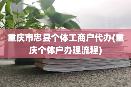 重庆市忠县个体工商户代办(重庆个体户办理流程)