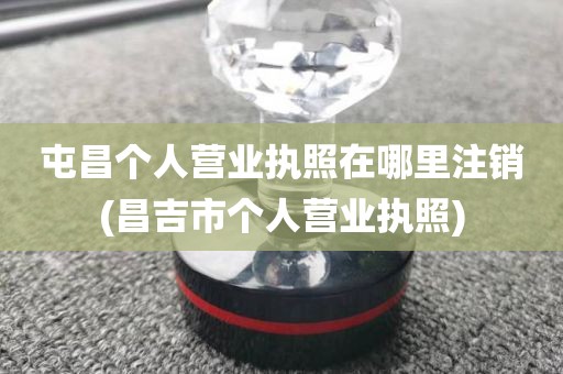 屯昌个人营业执照在哪里注销(昌吉市个人营业执照)