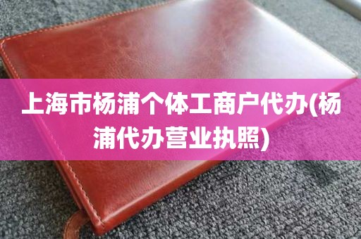 上海市杨浦个体工商户代办(杨浦代办营业执照)