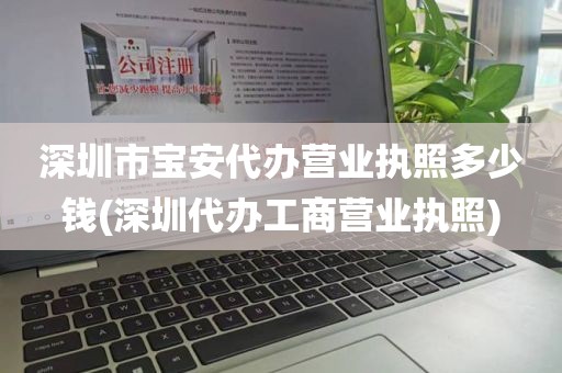 深圳市宝安代办营业执照多少钱(深圳代办工商营业执照)
