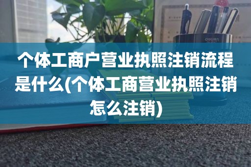 个体工商户营业执照注销流程是什么(个体工商营业执照注销怎么注销)