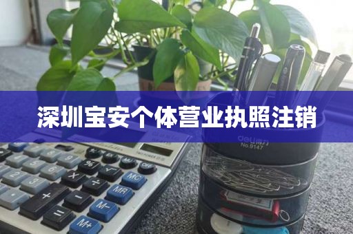 深圳宝安个体营业执照注销