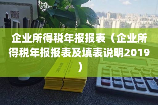 企业所得税年报报表（企业所得税年报报表及填表说明2019）
