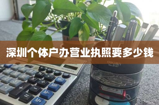 深圳个体户办营业执照要多少钱