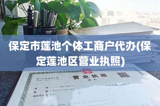 保定市莲池个体工商户代办(保定莲池区营业执照)