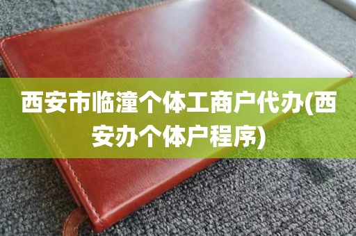 西安市临潼个体工商户代办(西安办个体户程序)