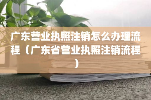 广东营业执照注销怎么办理流程（广东省营业执照注销流程）