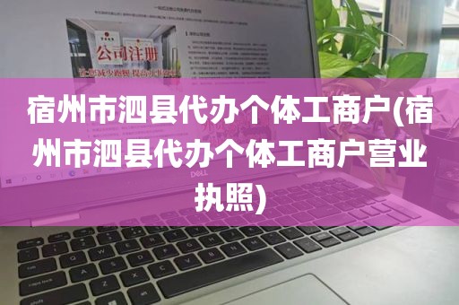 宿州市泗县代办个体工商户(宿州市泗县代办个体工商户营业执照)