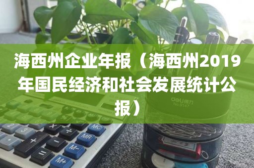 海西州企业年报（海西州2019年国民经济和社会发展统计公报）