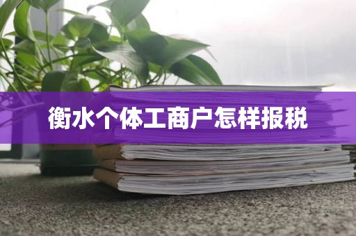 衡水个体工商户怎样报税