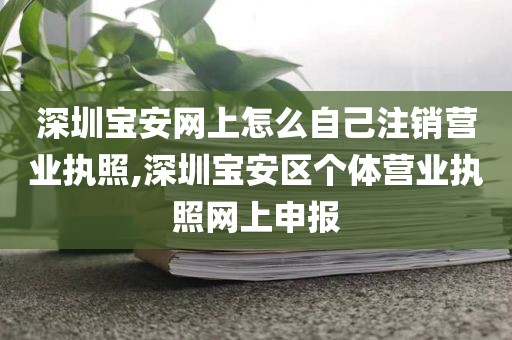深圳宝安网上怎么自己注销营业执照,深圳宝安区个体营业执照网上申报