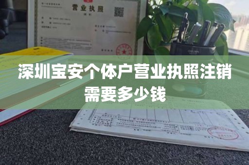 深圳宝安个体户营业执照注销需要多少钱