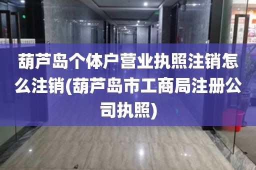 葫芦岛个体户营业执照注销怎么注销(葫芦岛市工商局注册公司执照)