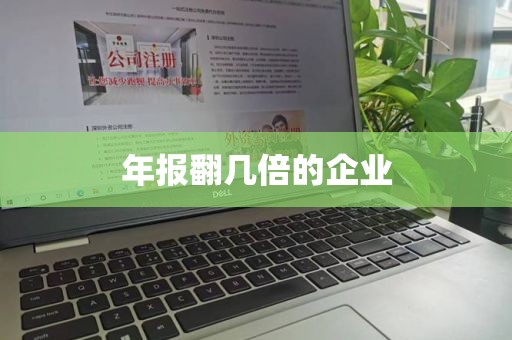 年报翻几倍的企业