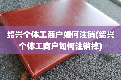 绍兴个体工商户如何注销(绍兴个体工商户如何注销掉)