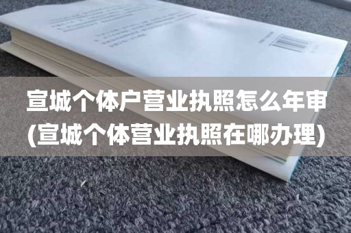 宣城个体户营业执照怎么年审(宣城个体营业执照在哪办理)