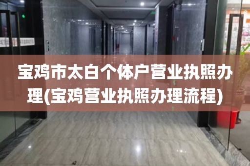 宝鸡市太白个体户营业执照办理(宝鸡营业执照办理流程)