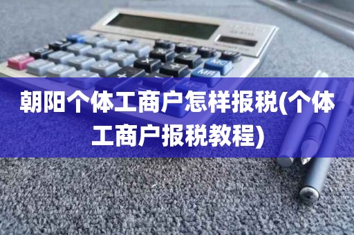 朝阳个体工商户怎样报税(个体工商户报税教程)