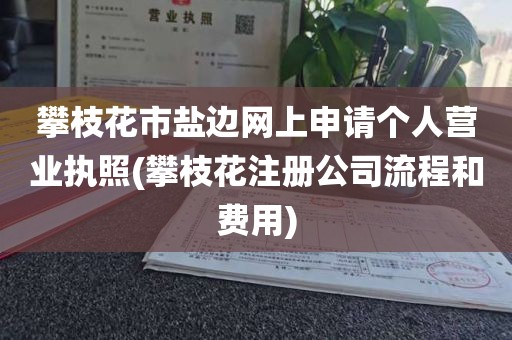 攀枝花市盐边网上申请个人营业执照(攀枝花注册公司流程和费用)