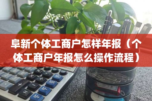 阜新个体工商户怎样年报（个体工商户年报怎么操作流程）